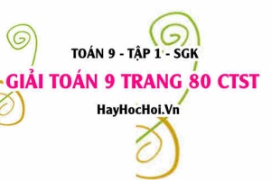 Giải Toán 9 trang 80 tập 1 Chân trời sáng tạo SGK